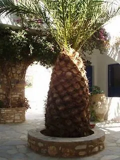 Mrs Armelina By Mr And Mrs White Pensjonat