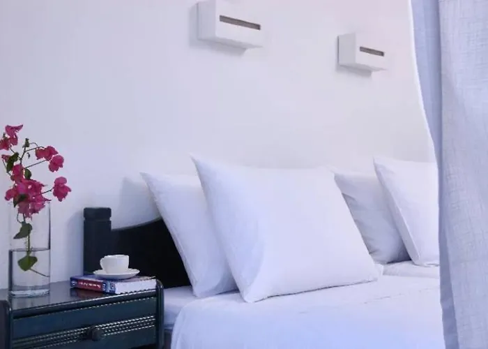 Pensionat Mrs. Armelina By Mr&mrs White Naousa